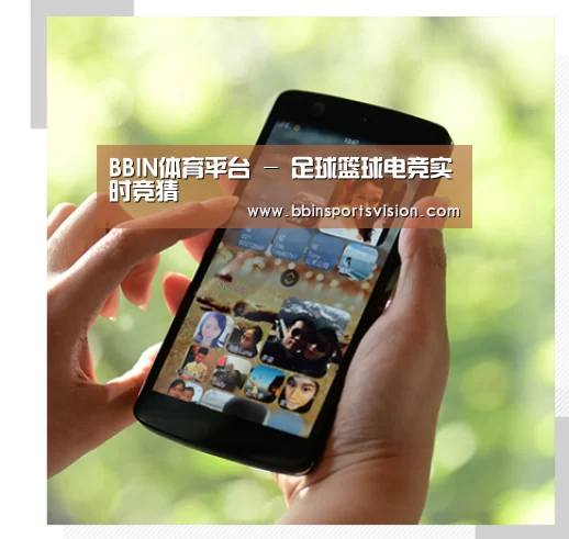 关于BBIN官网