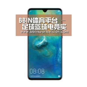 华为无线快充手机